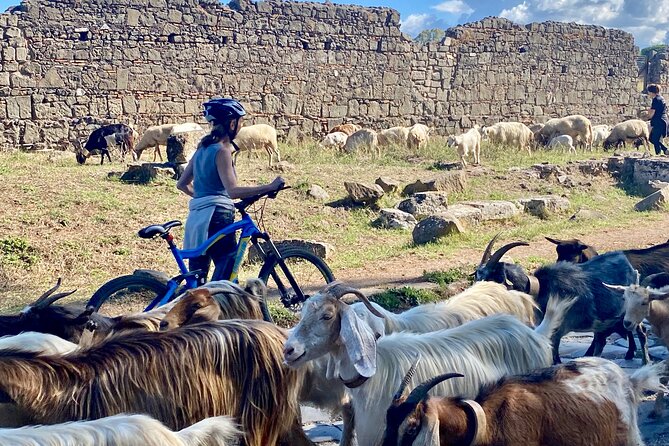 Appian Way & Aqueducts small group e-bike tour(catacombs & food) - The spa ruins moment, then the Mausoleum of Cecilia Metella