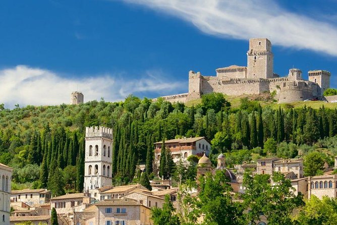 Assisi One Day Trip Private Excursion from Rome - What the private driver setup actually means for your day
