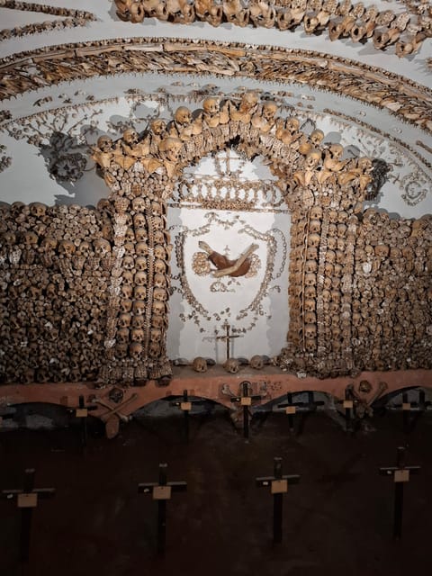 Bone Crypts & S. Clemente ENGLISH tour - tickets included - The guide factor: humor, rapport, and why it changes the tour
