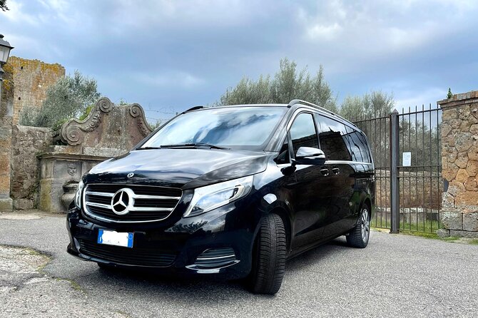 Civitavecchia Cruise Ship Port to Rome Hotel Private Transfer - Drop-off at your Rome hotel: the part you feel later