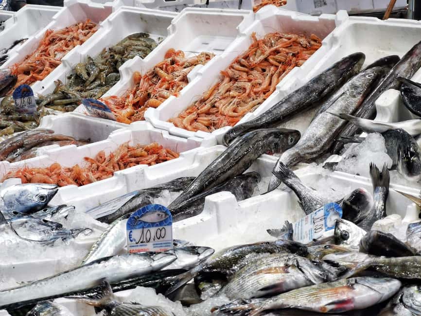 Civitavecchia: Historical and Culinary Walking Tour - What to Expect From the Walk Itself (Comfort, Pace, and Photos)