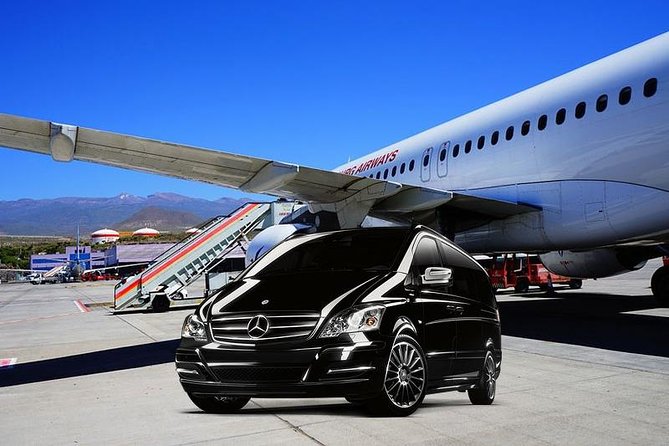 Civitavecchia Private Transfer from FCO Airport or Rome to Ship - Vehicle Comfort, Luggage Handling, and Group Size