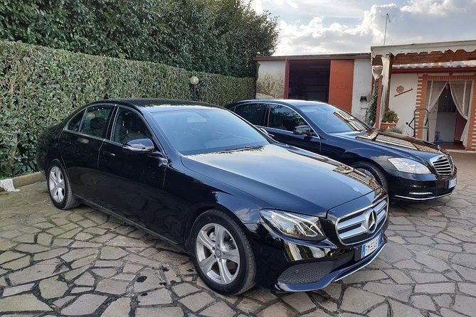Civitavecchia Private Transfer: Rome to Civitavecchia Cruise Port - Who this private transfer is best for