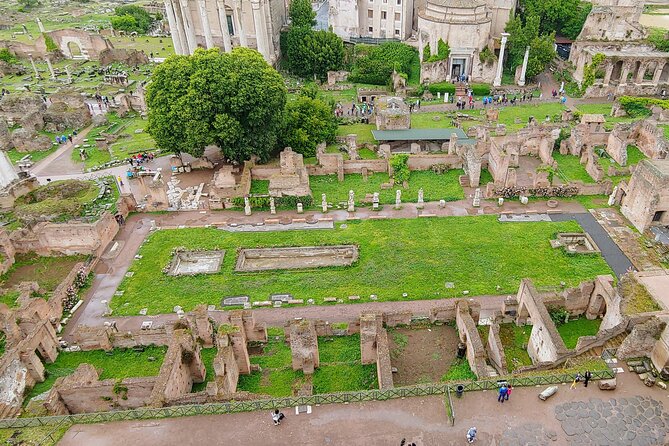 Colosseum & Ancient Rome Guided Walking Tour - Who this tour fits best