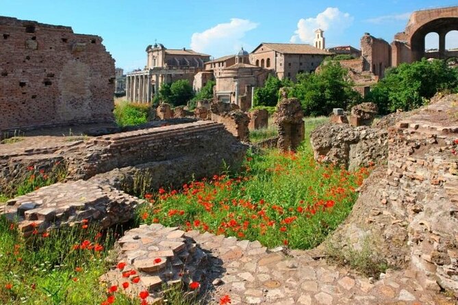 Colosseum & Ancient Rome Private: Women History Guided Tour - Private timing and the right pace for real questions