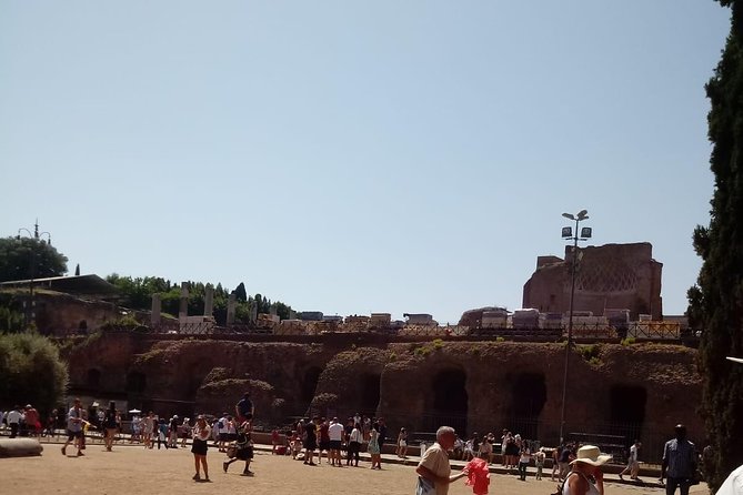 Colosseum and Ancient Rome Express Tour - Who This Tour Is For (and Who Might Prefer a Different Style)