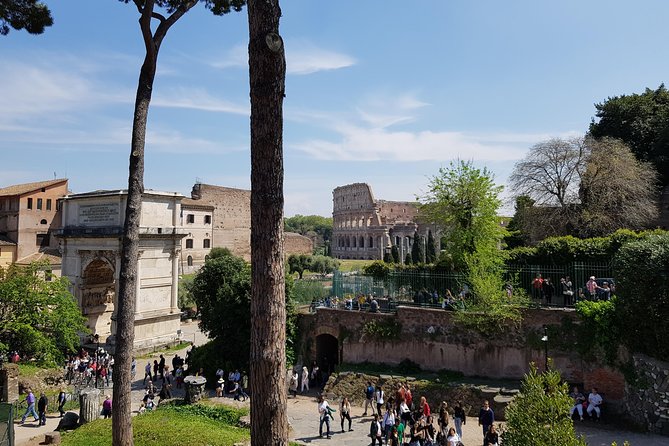 Colosseum Arena Floor, Roman Forum and Palatine Hill Guided Tour - Who This 2.5-Hour Tour Fits Best (and Who Should Skip)