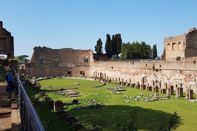 Colosseum Arena Floor Roman Forum and Palatine Hill Live Guide - Palatine Hill in 45 Minutes: The Stage Before Rome Went Global