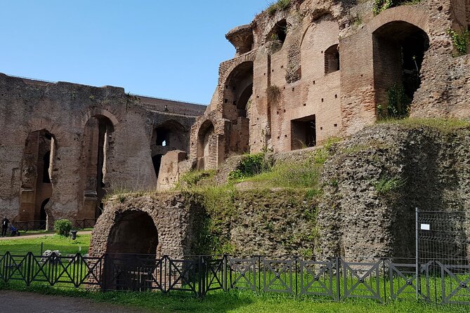 Colosseum Arena Floor Roman Forum and Palatine Hill Live Guide - Crowds, Heat, Security Checks, and Timing Reality