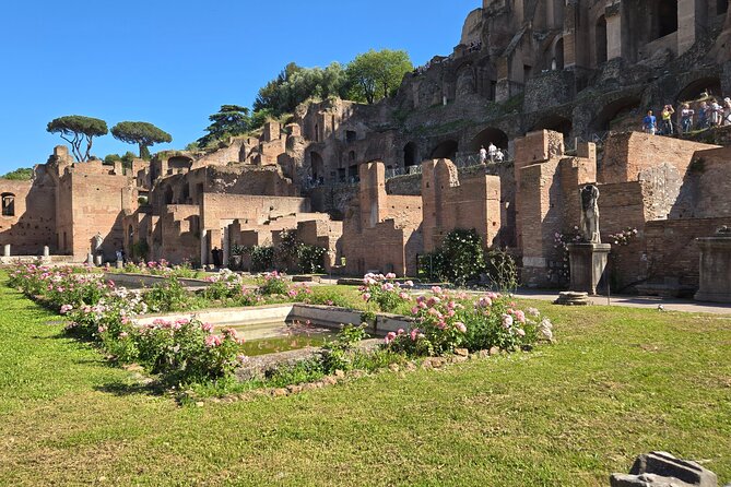 Colosseum Arena Floor, Roman Forum & Palatine Hill Guided Group Tour - Stop 3: Palatine Hill, the view that changes how you picture Rome