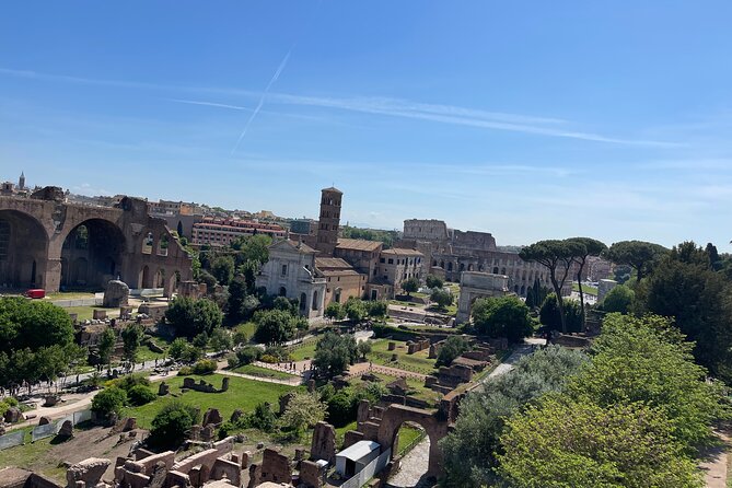 Colosseum Arena Floor & Roman Forum Semi-Private Tour (Max 6) - The Hypogeum Views That People Actually Remember