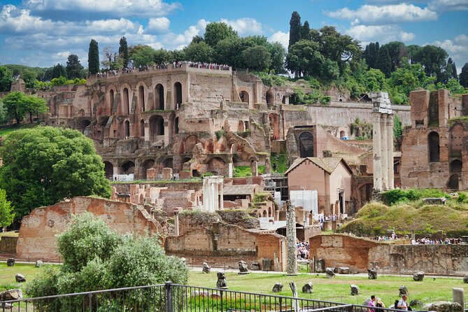 Colosseum Guided Tour and Ancient Rome - Roman Forum: you have time, but you run it