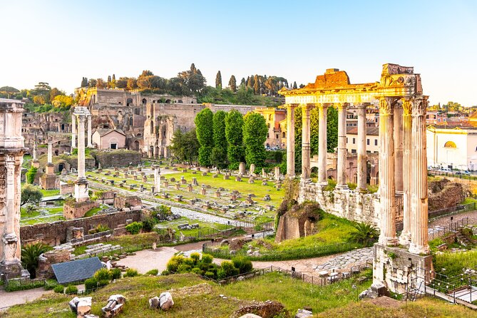 Colosseum, Roman Forum and Palatine Hill Guided Walking Tour - What Can Go Wrong, and How to Think About It