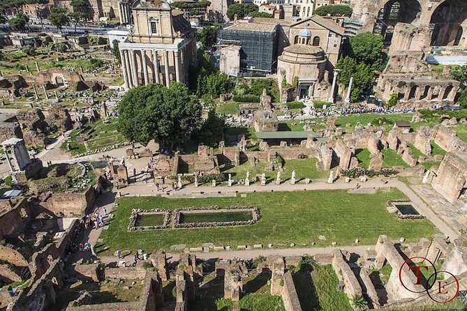 Colosseum with Gladiator Arena Floor, Forum & Palatine Hill Tour - Who Should Book This Tour?