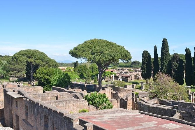 Daily life in Ostia Antica (private tour) - Necropolis: the quieter start that changes your perspective