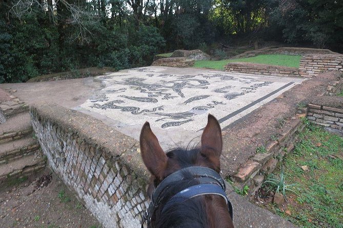 Daily out of Rome : Horseback ride with meals & wine included - Getting to Tagliacozzo and out of Rome’s crush
