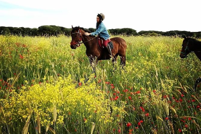 Daily out of Rome : Horseback ride with meals & wine included - Naturalistic horseback riding: what the instructors focus on