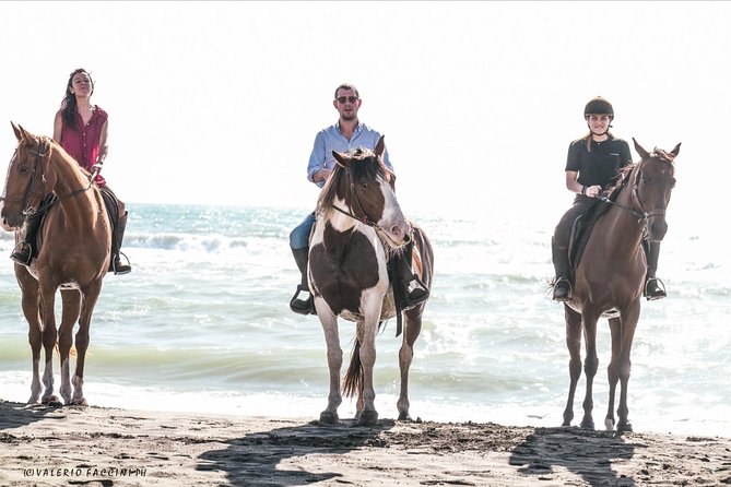 Daily out of Rome : Horseback ride with meals & wine included - The personal touches that make this feel different