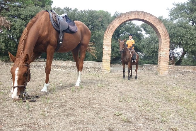Daily out of Rome : Horseback ride with meals & wine included - Price and value: what you’re paying for at $325.60
