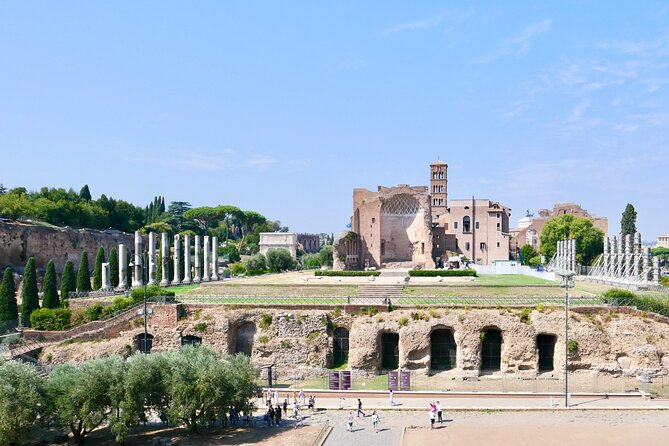 Exclusive Tour Colosseum Arena with Archaeologist & Roman Forum - Palatine Hill Views and the Romulus Legend