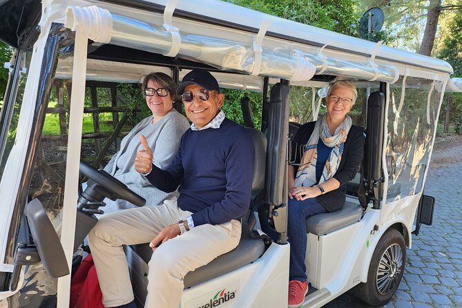 Explore the Best Highlights of Rome by Golf Car - Private Tour - Stop-by-stop: Colosseum and Palatine Hill with minimal stress
