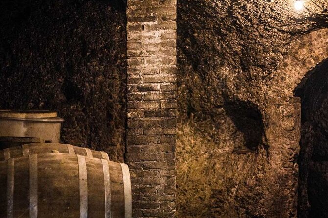 Frascati Day Tour: Road from Rome with Wine Tasting & Lunch - Rome to Frascati by train, no stress if you plan ahead