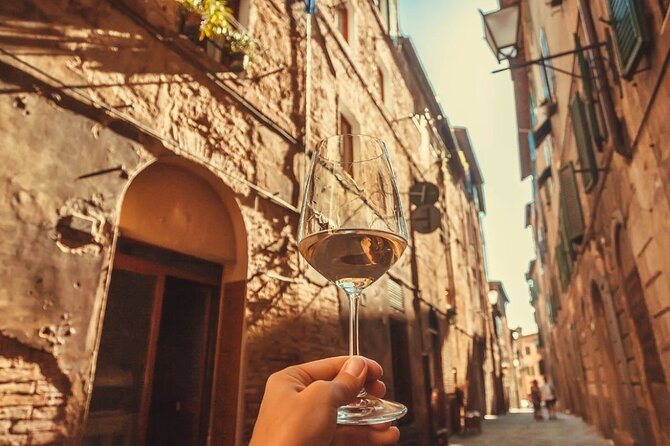 Frascati Day Tour: Road from Rome with Wine Tasting & Lunch - The tasting lineup, from DOCG white to olive oil pairings