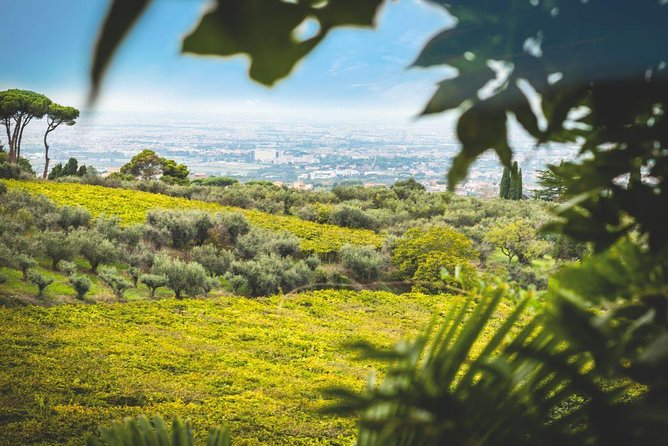 Frascati Wine Tasting Tour: The Flavors of the Roman Countryside - Why Frascati is the perfect day-trip break from Rome
