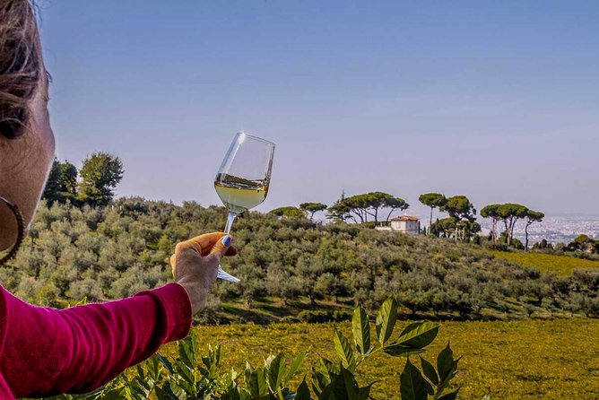 Frascati Wine Tasting Tour: The Flavors of the Roman Countryside - Price and value: what $111.74 covers, and what it does not