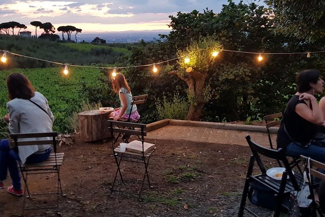 Frascati Wine Tasting Tour: The Flavors of the Roman Countryside - Who should book this Frascati wine tasting day?