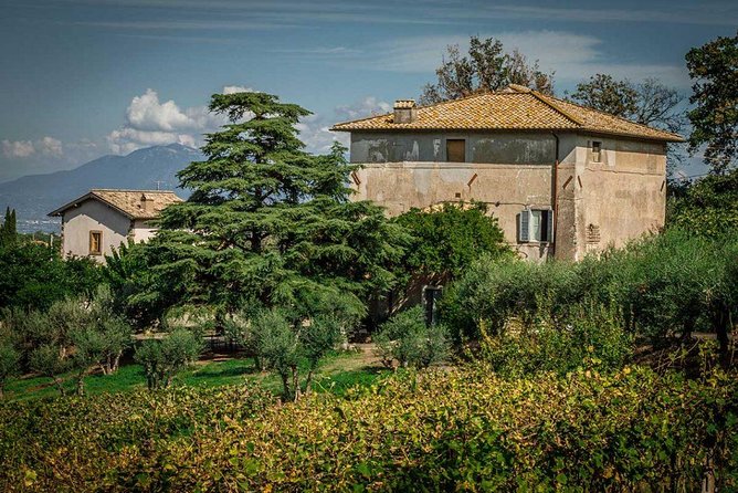 Frascati Wine Tasting Tour: The Flavors of the Roman Countryside - Start smart at Frascati Station: pickup, timing, and the car-free advantage
