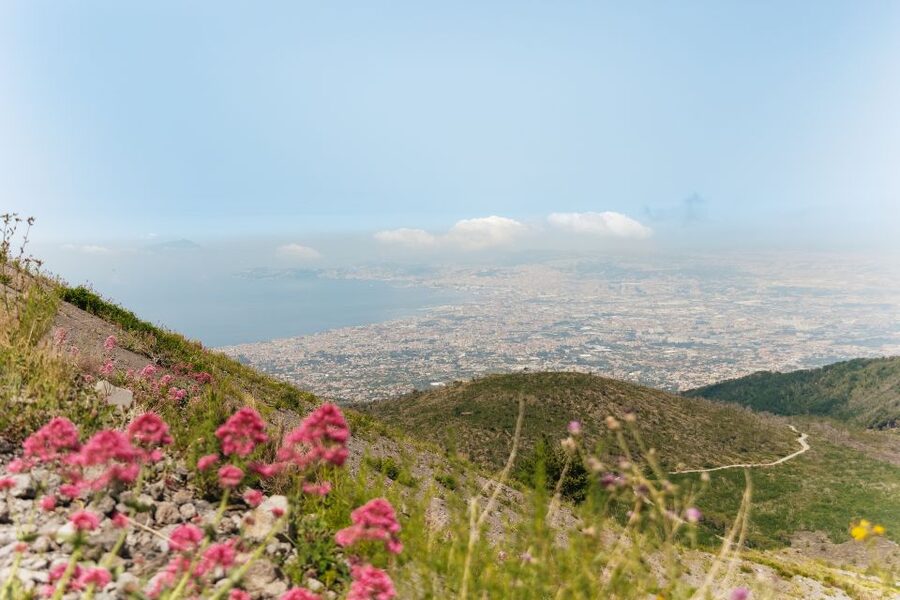From Rome: Pompeii Day Trip with Optional Vesuvius and Lunch - Price and value: what $88 buys you in real terms