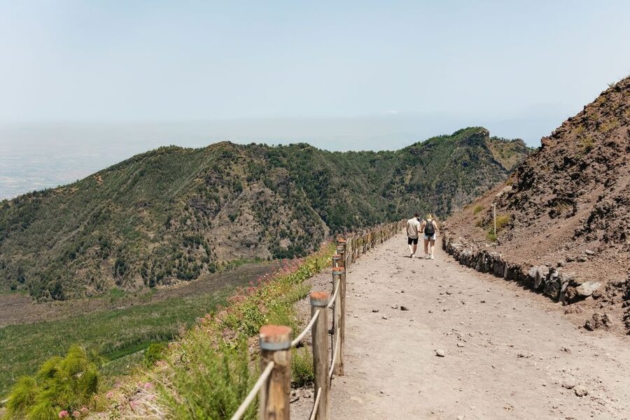 From Rome: Pompeii Day Trip with Optional Vesuvius and Lunch - Rome to Campania by private bus: comfortable, but it is a full day