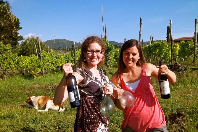 Guided Wine Tasting Experience in a Roman Vineyard - From Rome Termini to a Roman vineyard in two hours