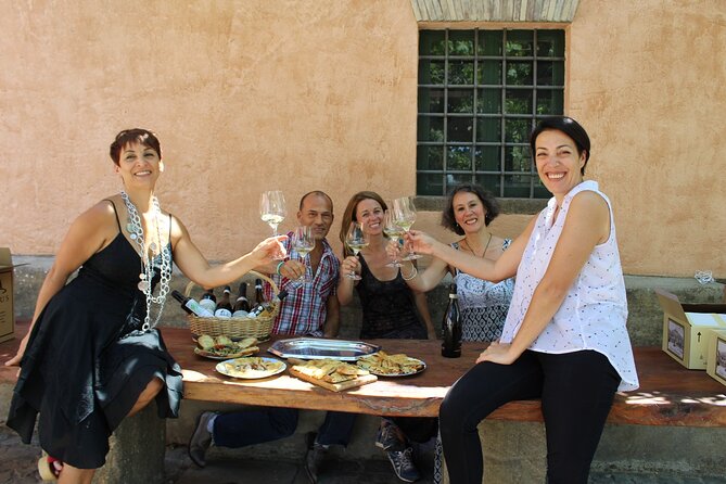 Guided Wine Tasting Experience in a Roman Vineyard - The Frascati tasting and snack pairing that actually makes sense