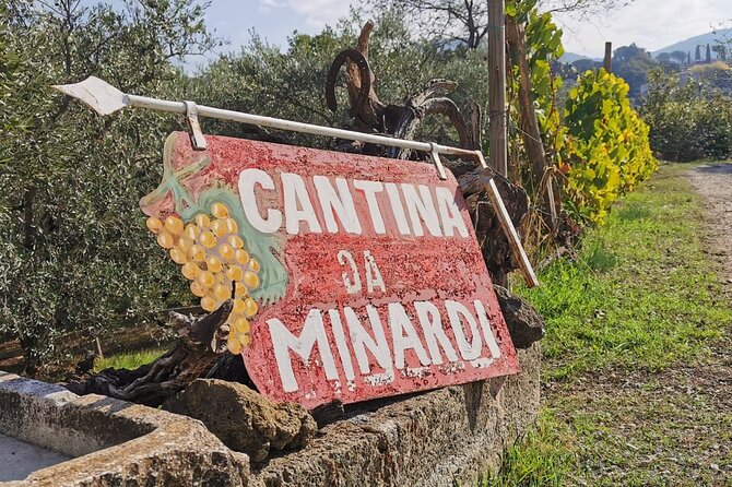 Half-Day Minardi Wine and Food Tour in Frascati - What you actually eat and drink: lunch plus structured tastings