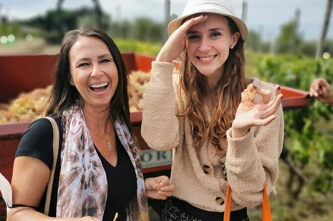 Half-Day Minardi Wine and Food Tour in Frascati - Who should book this tour, and who might not love it
