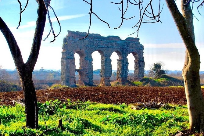 Hidden Rome - Private Tour with Driver - Stop 4: Baths of Caracalla, dramatic ruins in about 30 minutes
