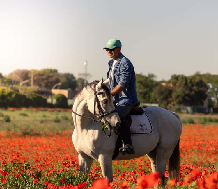 Horse Sanctuary in Rome - Key highlights worth your time