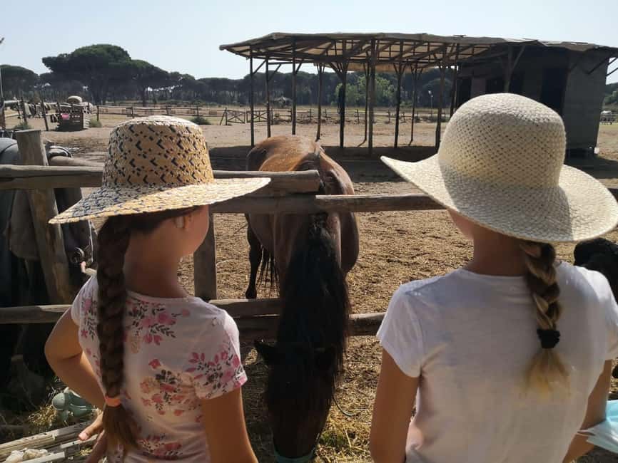 Horse Sanctuary in Rome - The short riding lesson: beginner-friendly, not babying