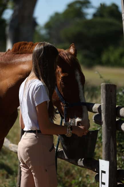 Horse Sanctuary in Rome - The ride: pinewood paths, a calmer kind of scenery