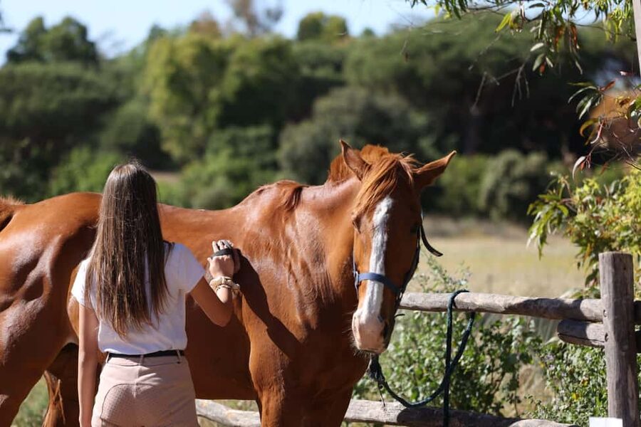 Horse Sanctuary in Rome - Who you might ride with: instructors and the small-group vibe
