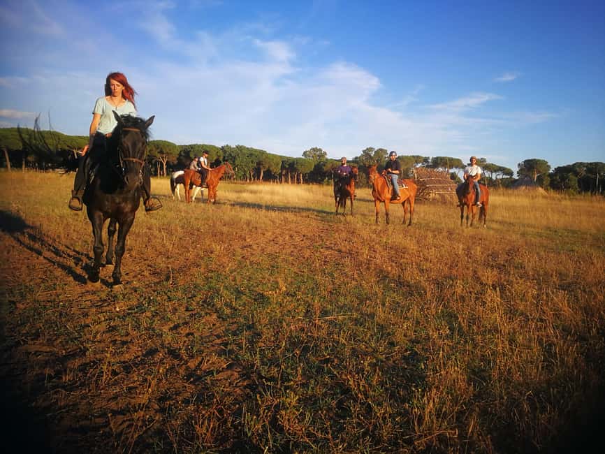 Horse Sanctuary in Rome - Food and comfort: coffee, breakfast or ice cream, and what to pack
