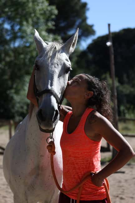 Horse Sanctuary in Rome - Meeting point at a coffee shop, then a smooth transfer