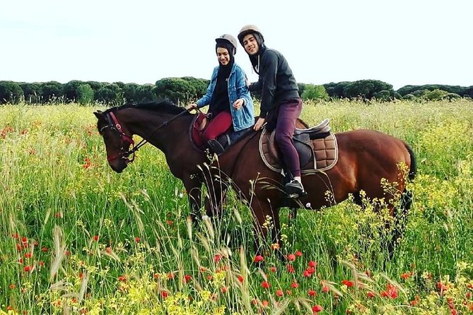 Horse Sanctuary & Trail Ride in Ostia Antica - Why this horse sanctuary ride works so well
