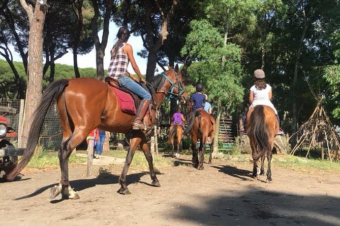 Horse Sanctuary & Trail Ride in Ostia Antica - The trail ride: what you actually get from the 3 hours