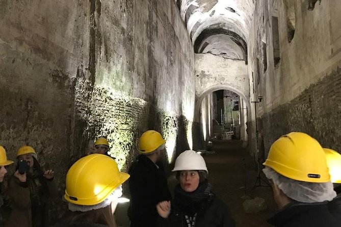 Nero's Golden House restoration site tour - Price and value: what the $60.01 includes, and what might feel costly