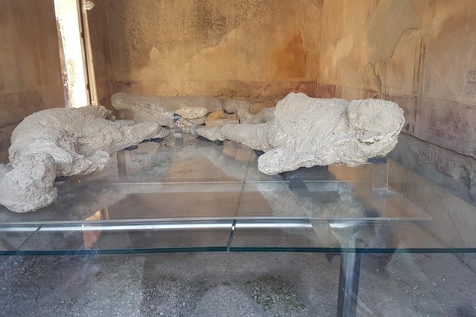 Pompeii and Naples from Rome: Small Group Day Tour with Lunch - Who can make Pompeii feel alive, Sam, Elena, Hector, Romolo