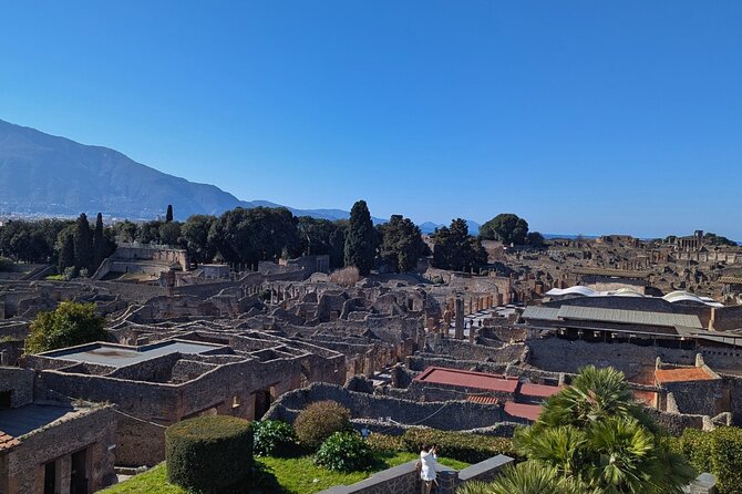 Pompeii Express Day Trip: High-Speed Train from Rome - Meeting Back Up at Pompeii Entrance for the Coach