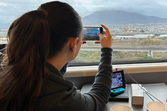 Pompeii Express Day Trip: High-Speed Train from Rome - Price and Logistics: Is $149 Good Value?